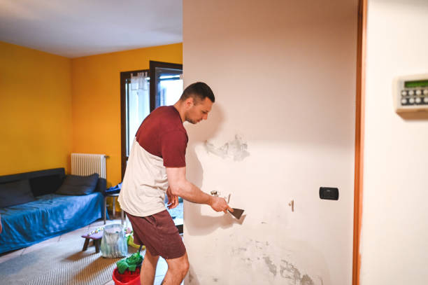 Trusted East Moline, IL Mold Removal Experts